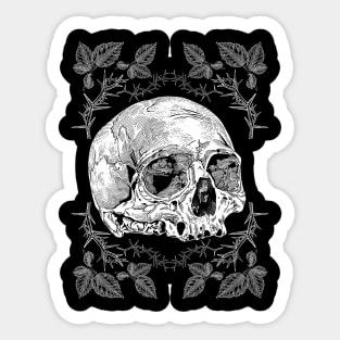 Skull Sticker